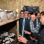 मुख्यमंत्री ने ‘मशरूम ग्राम’ का शुभारंभ किया