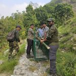 वनविभाग ने शुरू किया निगरानी और सुरक्षा अभियान